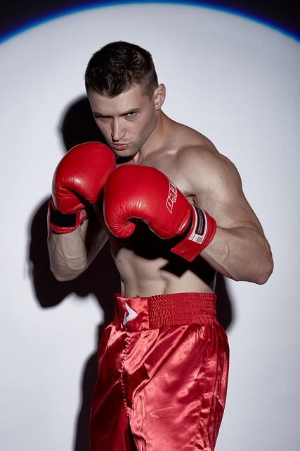 Target Tempe MMA Gyms: Local Search Strategies for Success