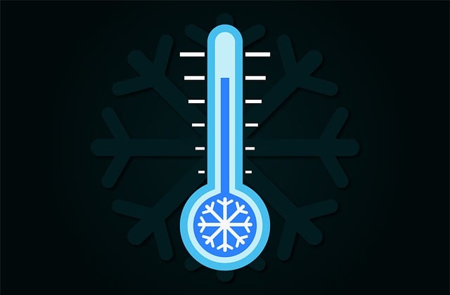 low cost fat freezing