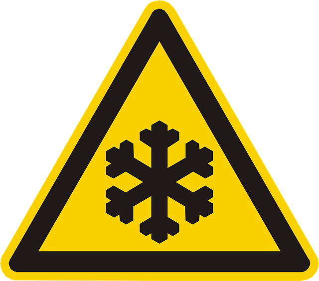 low cost fat freezing