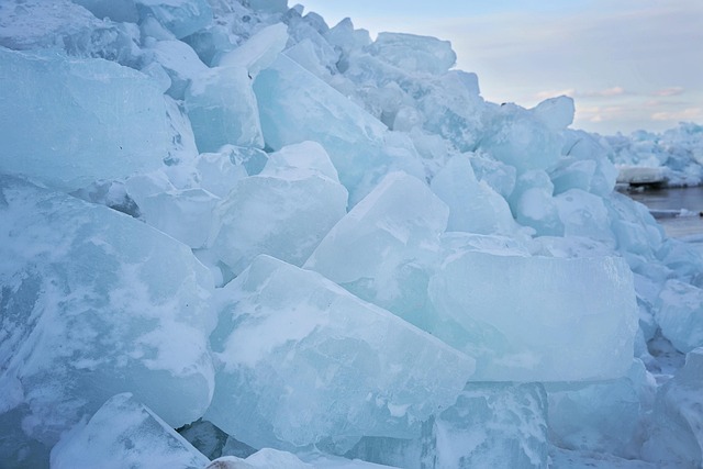 low cost fat freezing
