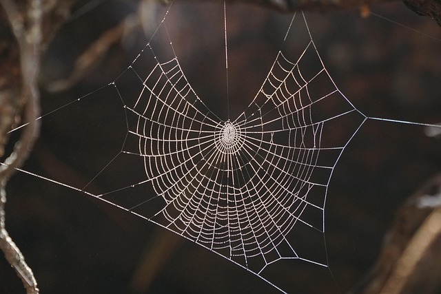 low-cost web design
