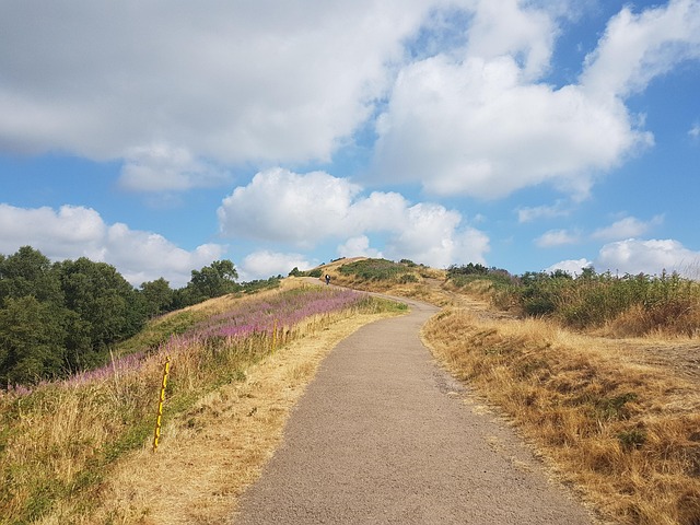 Malvern MSP
