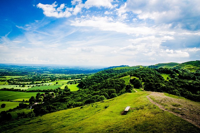 Malvern MSP