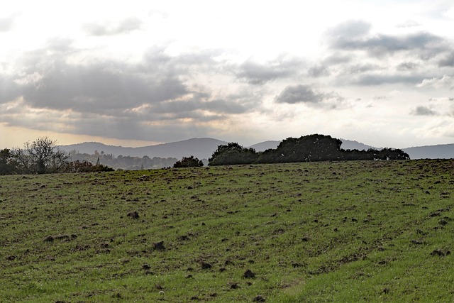 Malvern MSP