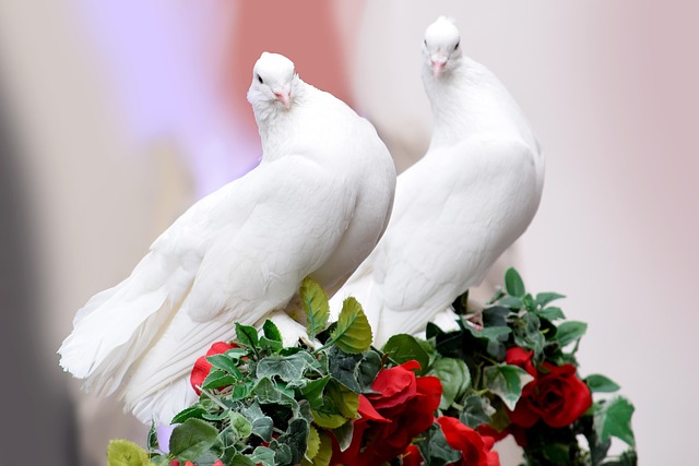 marriage counseling Scottsdale