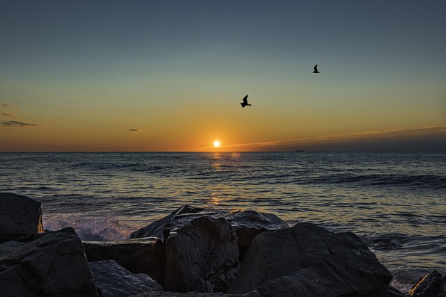mediation services NJ
