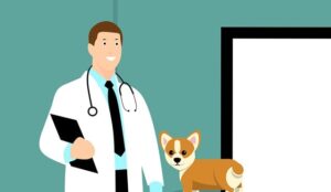 Shield Your Career: Navigating Liability Insurance for Medical Professionals