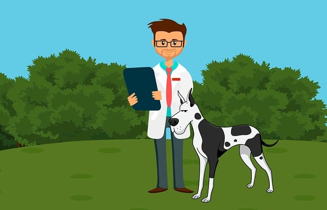 medical professional indemnity
