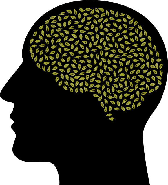 mental health counseling