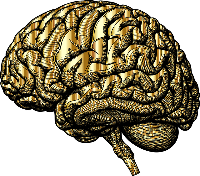 mental health psychotherapy