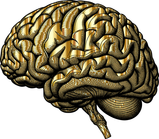mental health psychotherapy