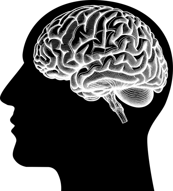 mental health psychotherapy