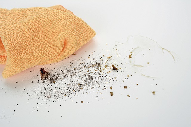 Mesa carpet cleaning