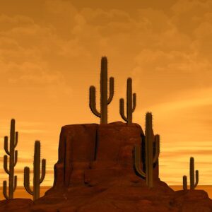 Stress Relief through Mindfulness Therapy: Mesa, AZ’s Gentle Healing Approach