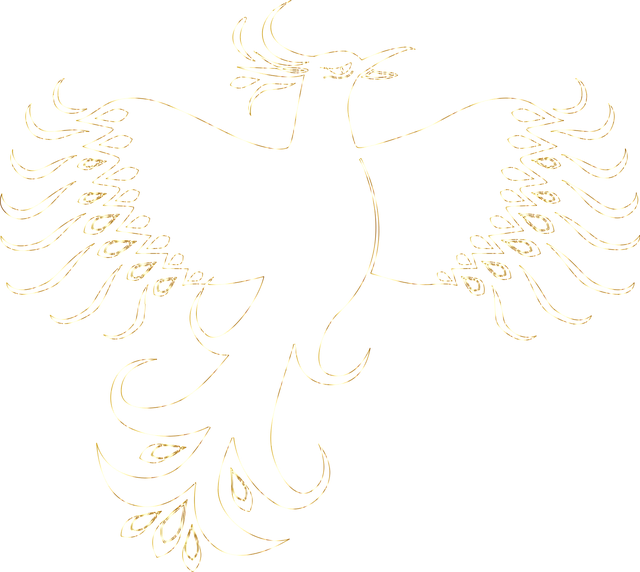 Mixed Martial Arts Phoenix
