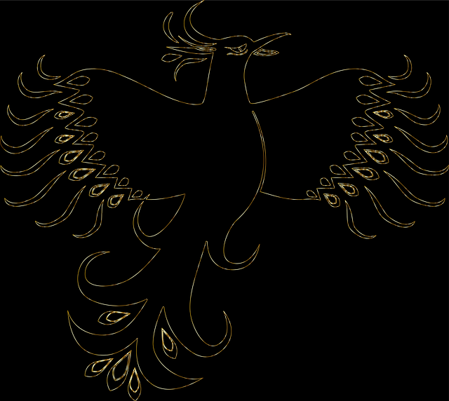 Mixed Martial Arts Phoenix