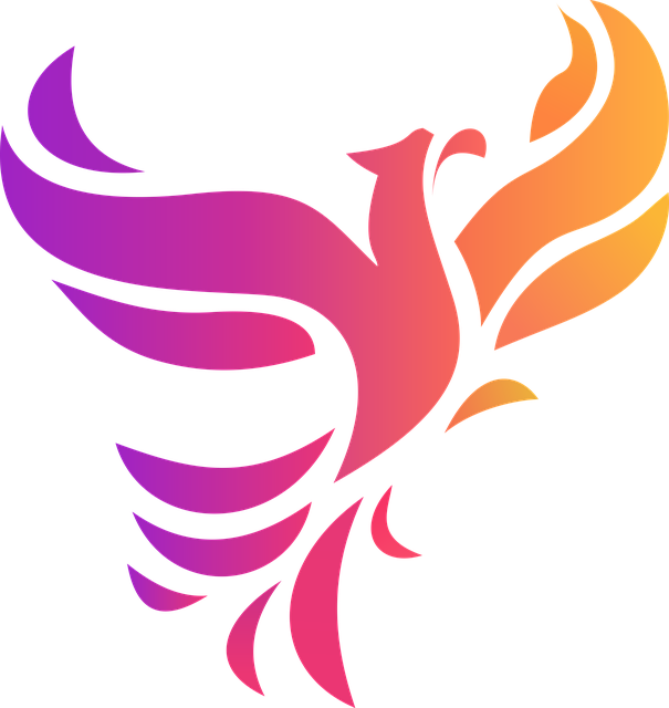 Mixed Martial Arts Phoenix