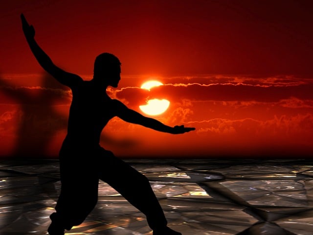Mixed Martial Arts Scottsdale