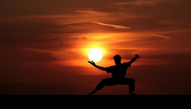 Mixed Martial Arts Scottsdale