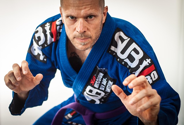 Mixed Martial Arts Tempe
