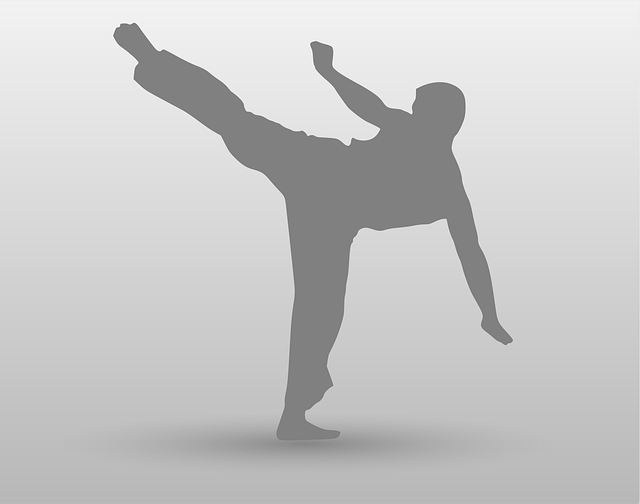 Mixed Martial Arts Tempe