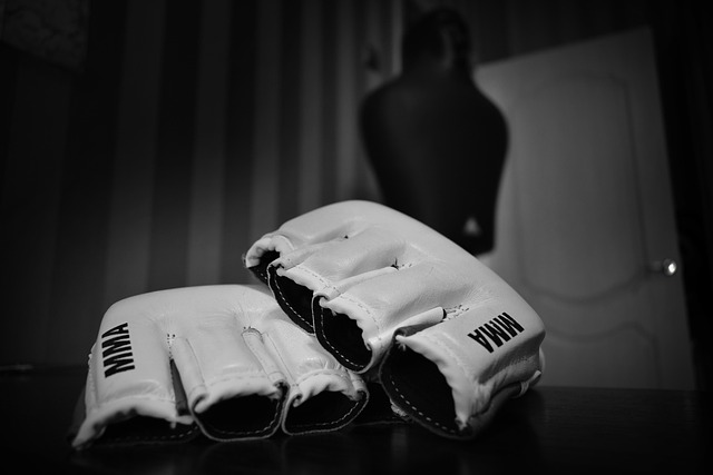 Mixed Martial Arts Tempe