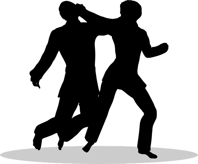 Mixed Martial Arts Tempe