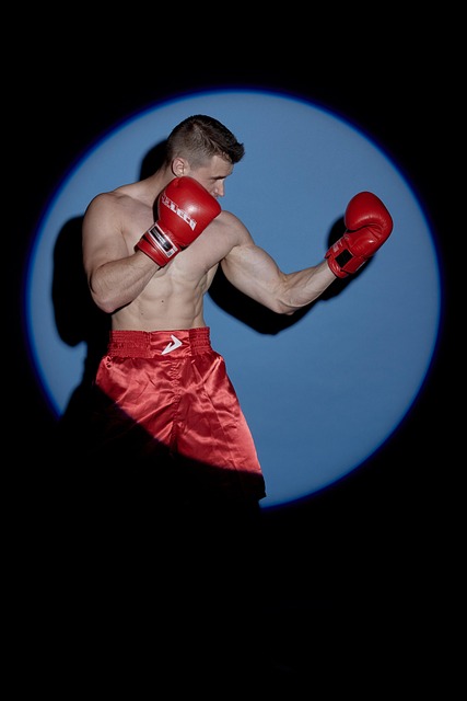 MMA school Chandler