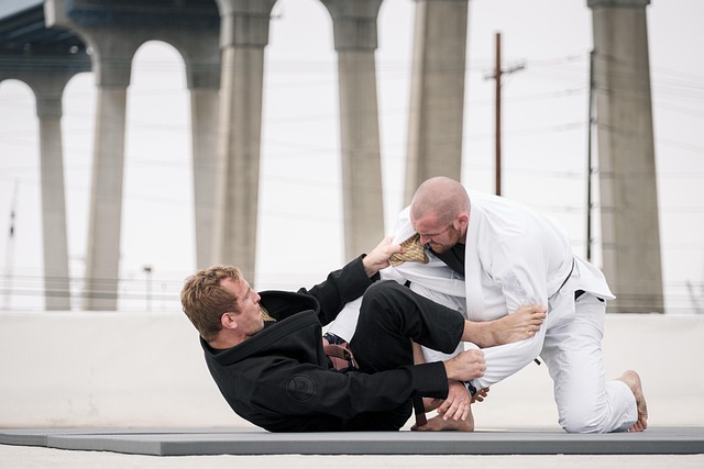 MMA training Tempe