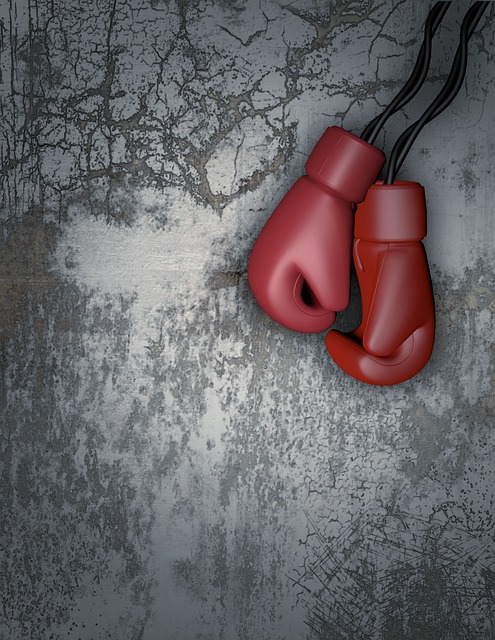 Muay Thai school Phoenix
