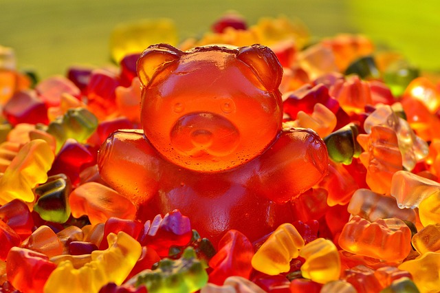 Mushroom Gummies for Focus
