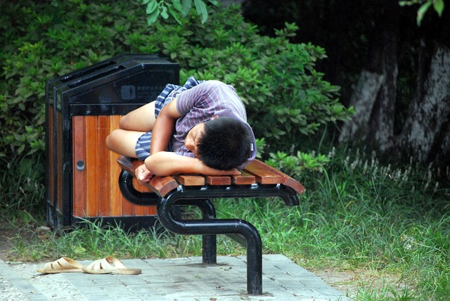 NAP Schema Markup