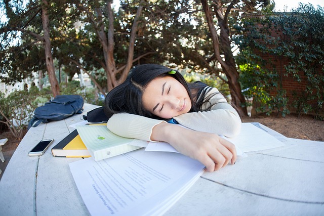 NAP Schema Markup