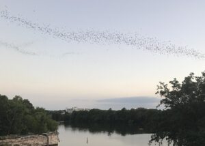 natural-fertility-austin-640x480-68272405.jpeg