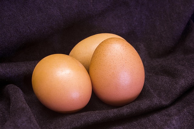 natural fertility Austin
