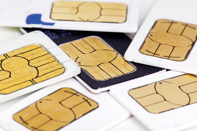 network DE services