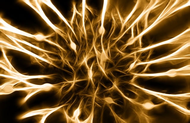 network management Philly