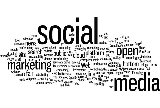 new site SEO optimization