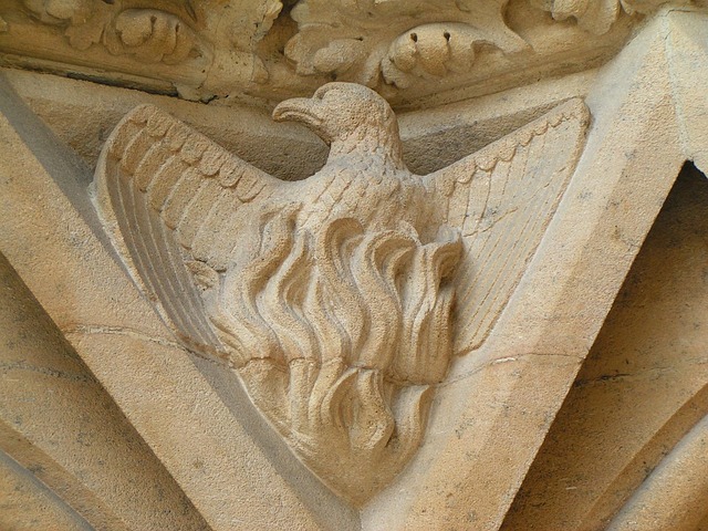 No-Gi Phoenix