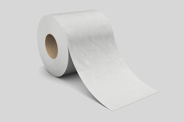 no-gi rolls Tempe