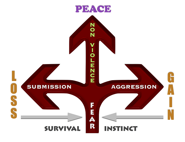 no-gi submission wrestling Tempe