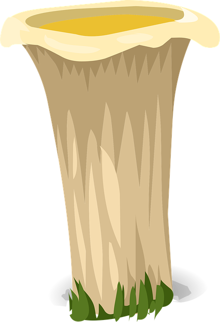 non-invasive fat loss
