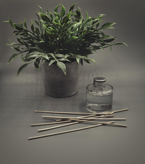 Non-Surgical Spa