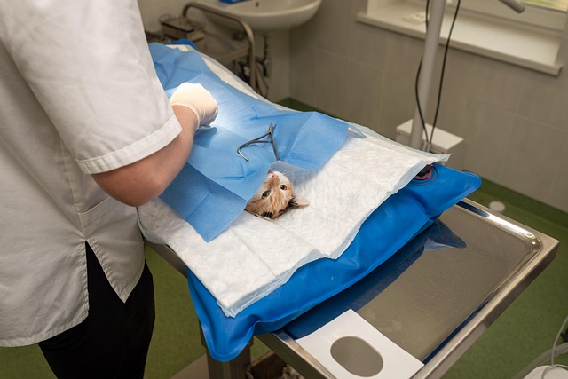 Non-Surgical Treatments