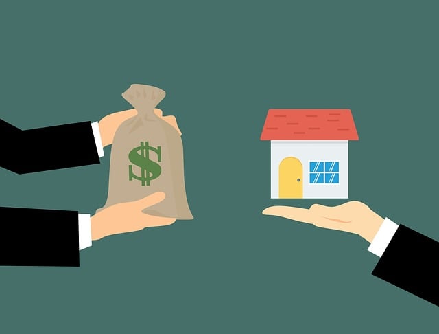 Offer Schema Markup