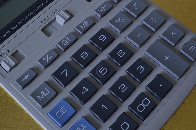 offsite accountant IT