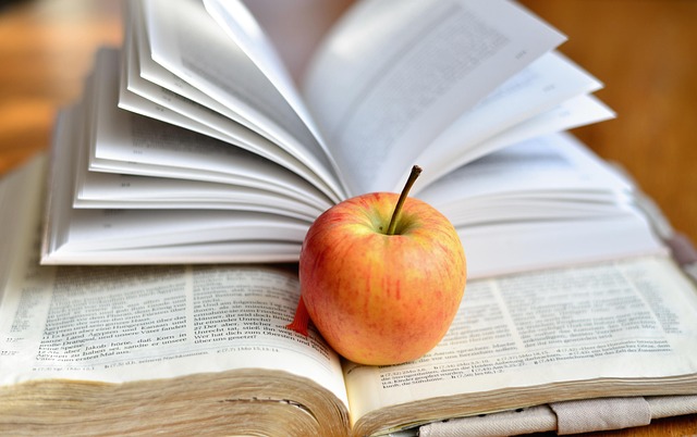 On-Page Optimization Training