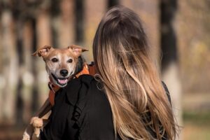 Explore Your Ultimate Online Pet Marketplace for Every Creature