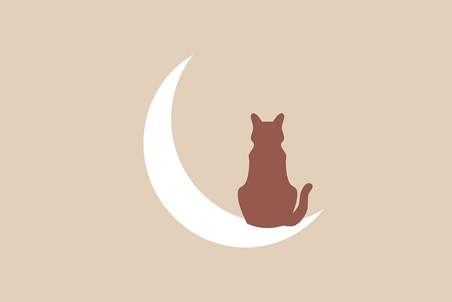 online pet marketplace