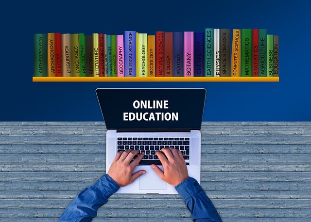 Online SEO Training